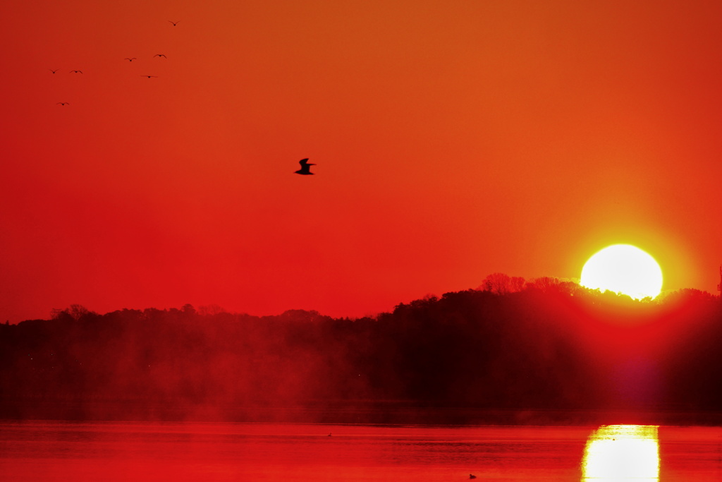 初フライト２日目