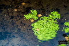 DSC00118d