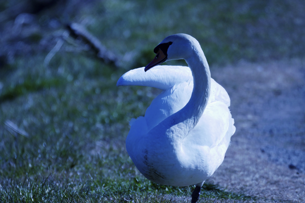 少しポーズしました