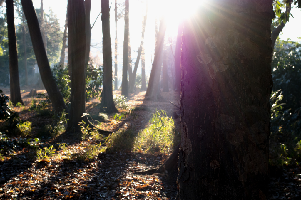見えない明日へ　光のある方へ