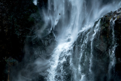 _DSC4393j
