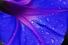 秋雨前線到来