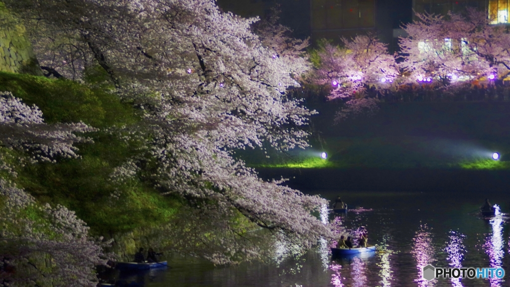 江戸城千鳥ヶ淵　　夜桜