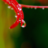 雨上がり