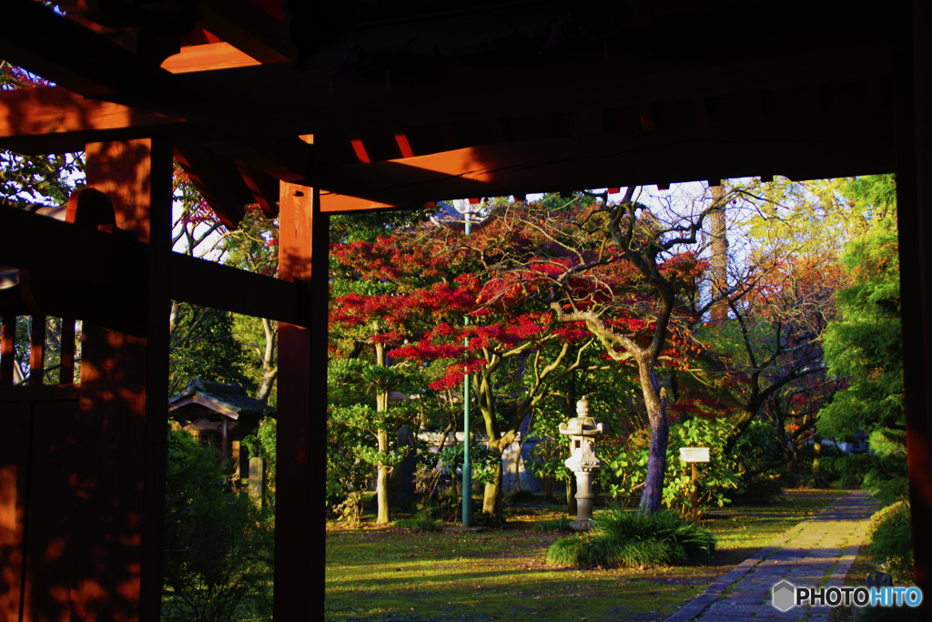 山門からの紅葉