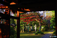 山門からの紅葉