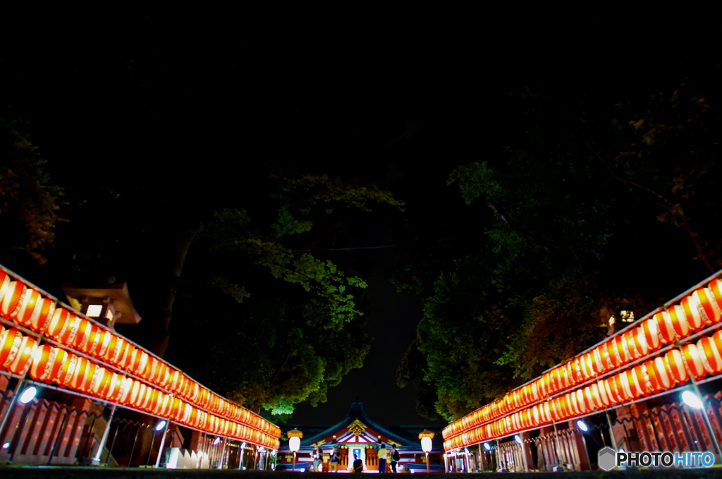 赤坂日枝神社　夏