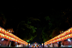 赤坂日枝神社　夏