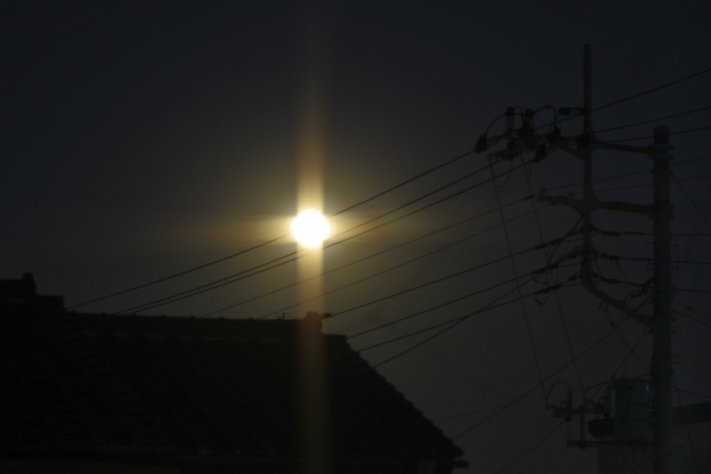 網戸越しの朝日