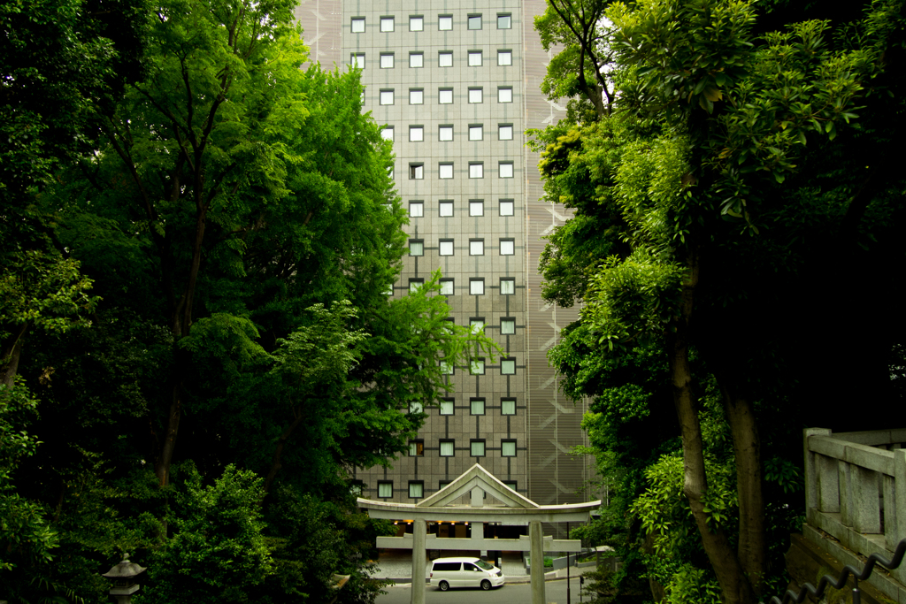 赤坂山王鳥居