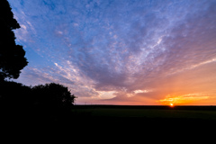_DSC4963