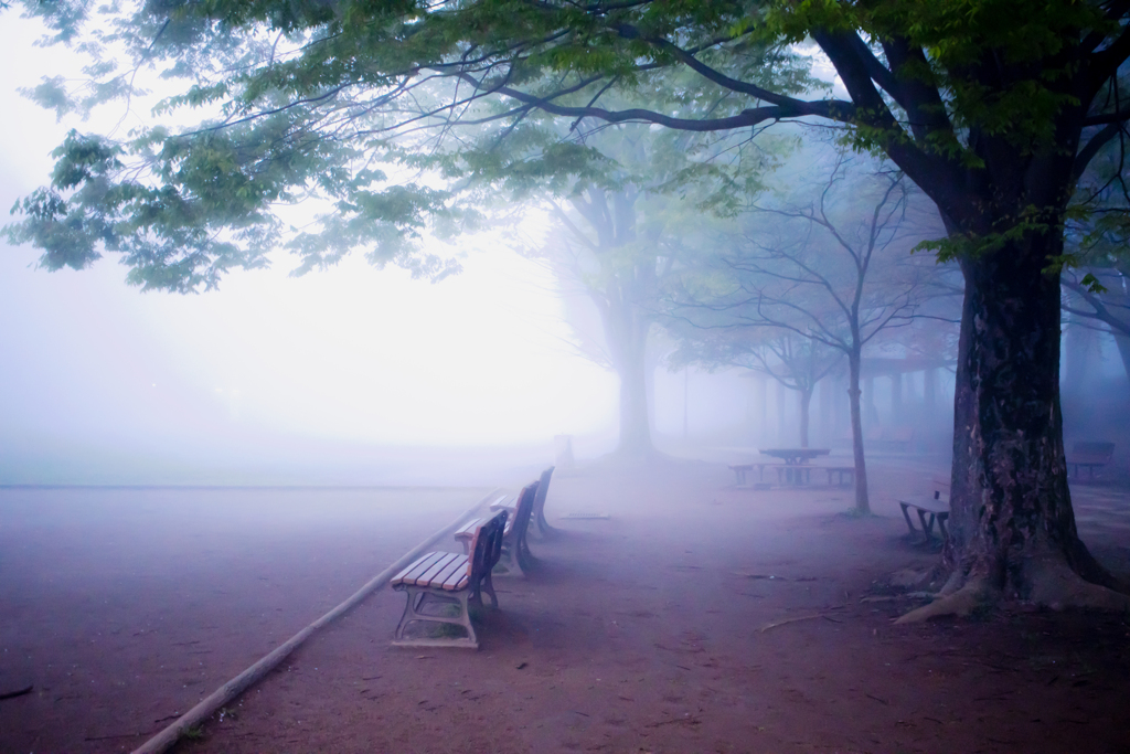 霧の公園