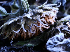 P1344612