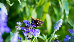 朝のお食事タイム