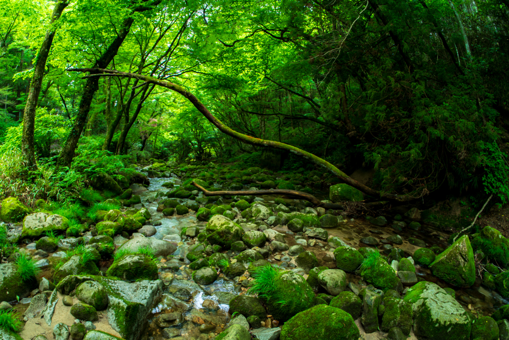 _DSC3915