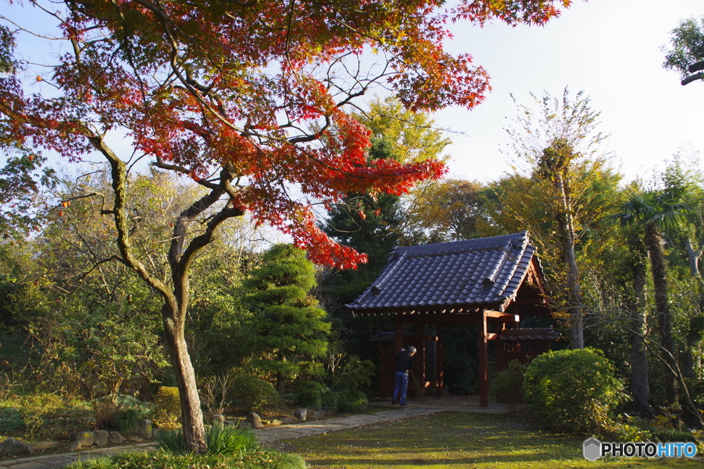 朝のお勤め