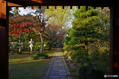 山門の向こう