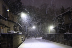 帰り道　ダバダバ雪