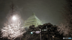 東京の雪の夜