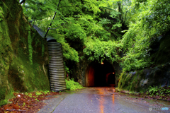 緑に埋もれる隧道
