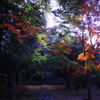 庭園