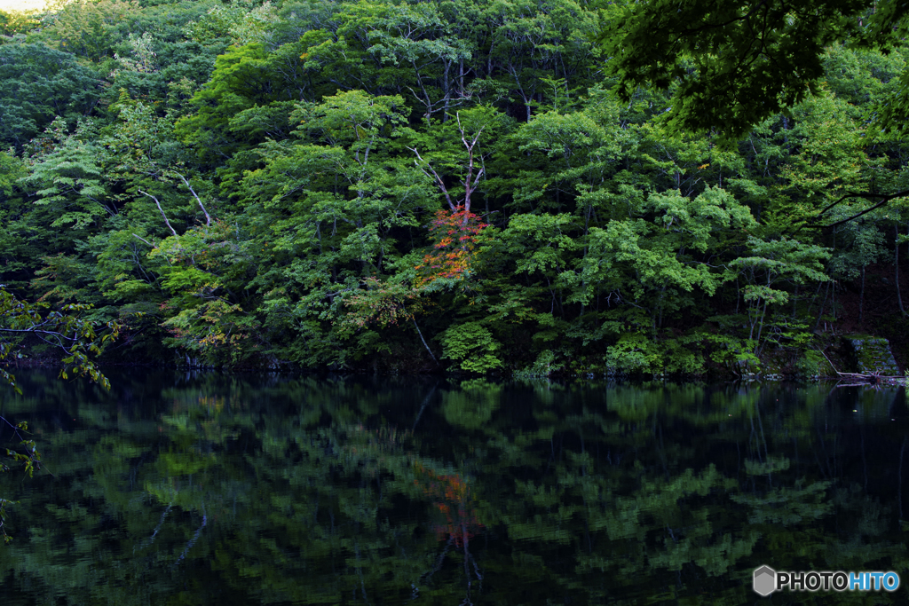 水鏡と少しの紅葉