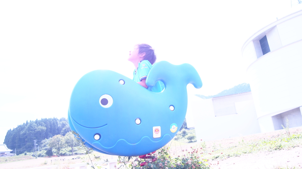 岩手県山田町　鯨と海の科学館