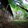 本土寺の立夏