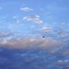 白河の空