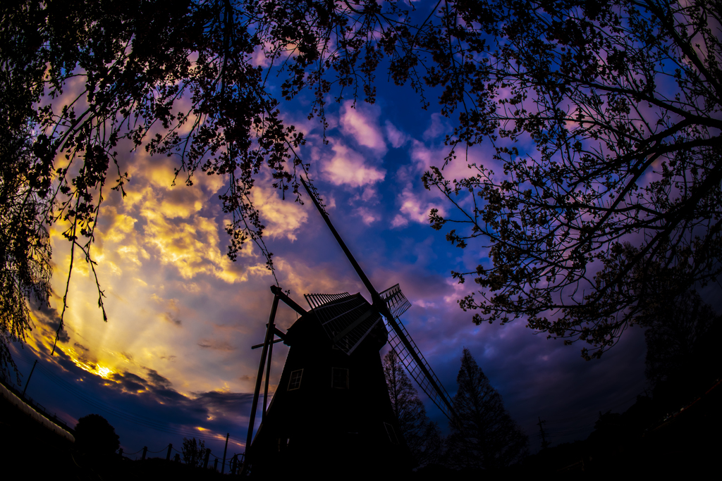 _MG_2325 (1)