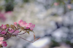 _1150904a