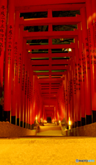 赤坂山王神社の千本鳥居