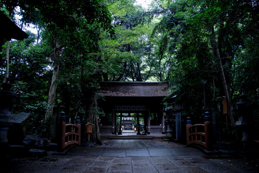 雨の豊四季諏訪神社