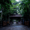 雨の豊四季諏訪神社