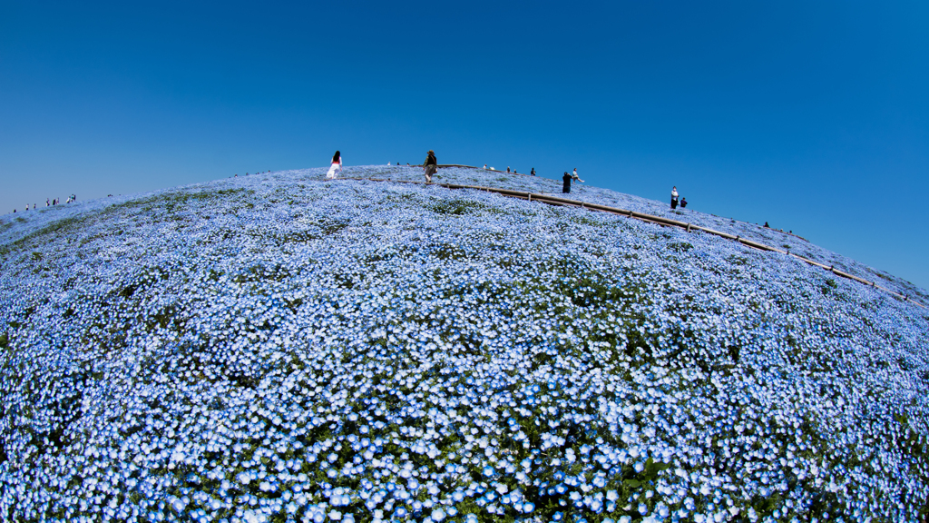 地球は丸い