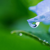 水滴