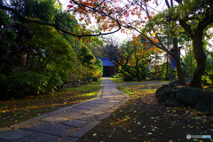 小さな寺の境内