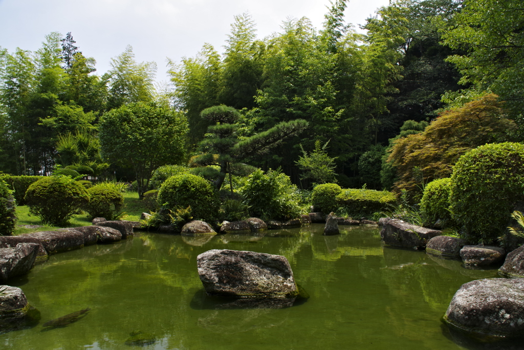 真夏真昼間の日本庭園