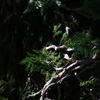 0J3A8059