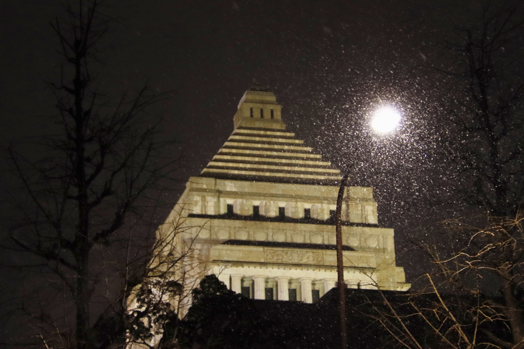 議事堂ふわふわ雪が舞う