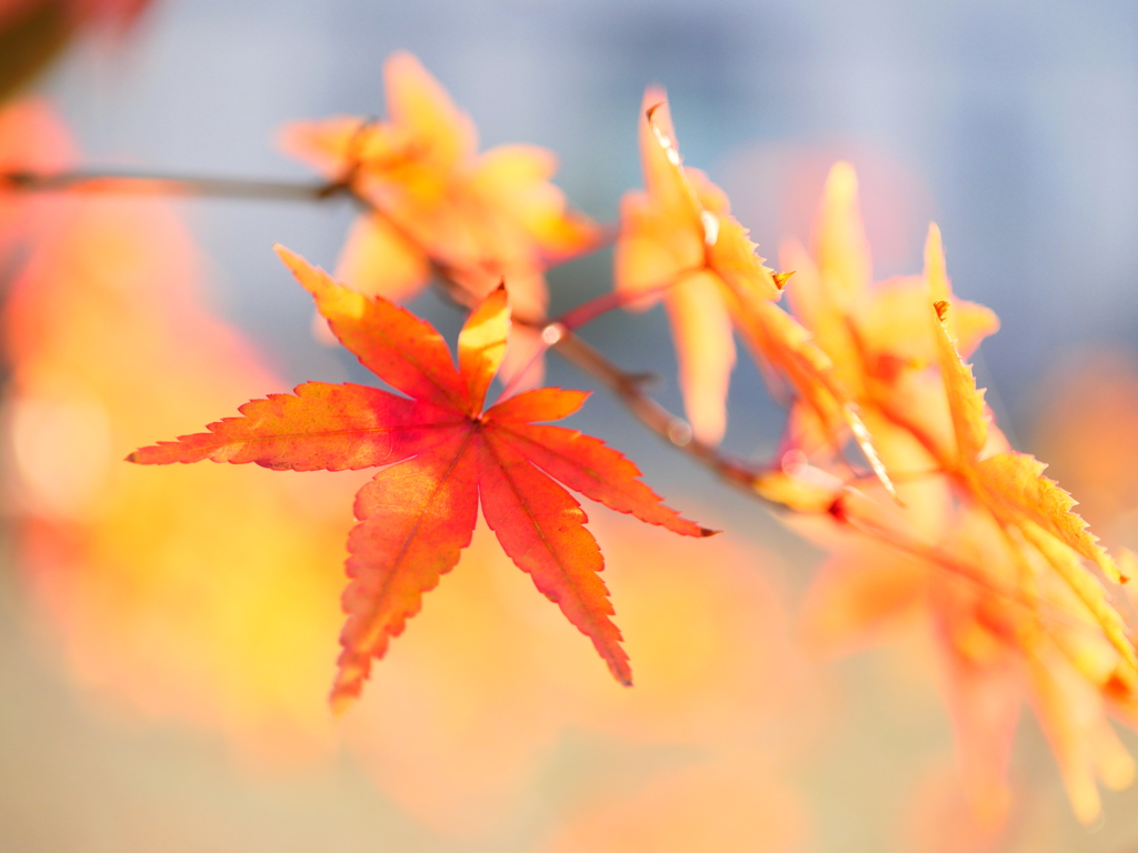 アングル微修正