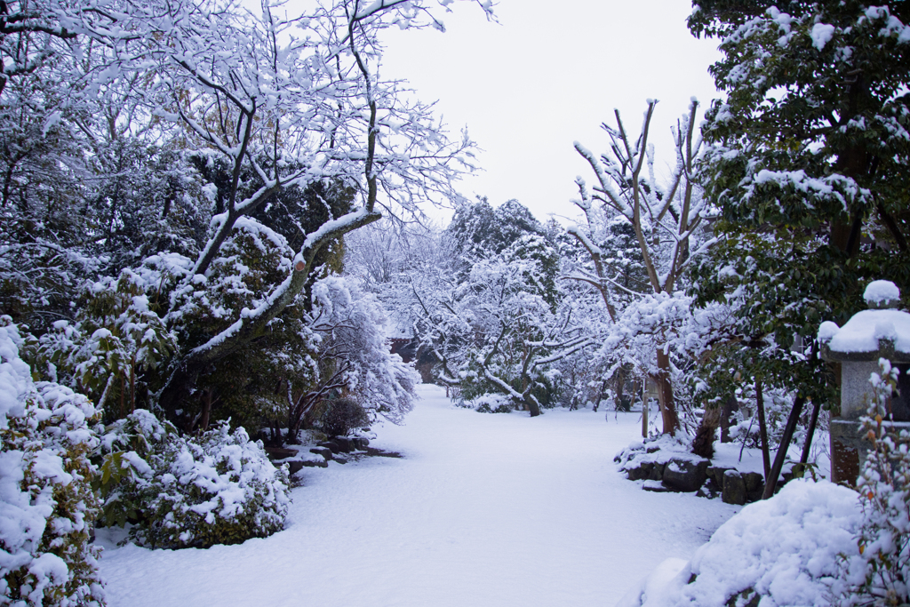 湿り雪