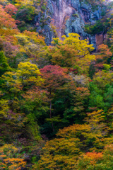 絶壁と紅葉