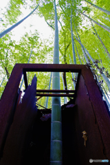 鉄のロッカーを突き抜ける　竹
