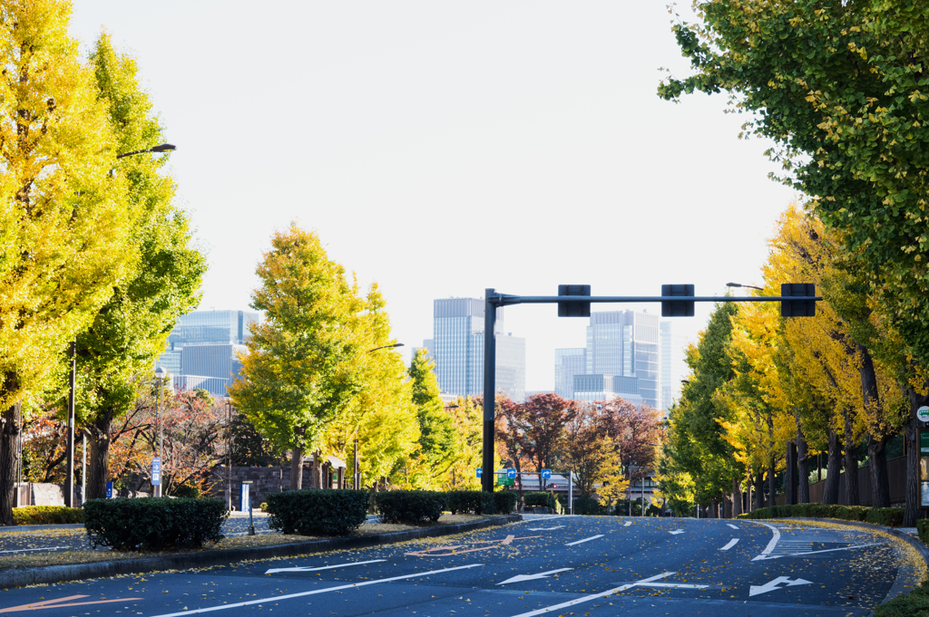 日比谷を望む