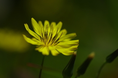 IMGP0869