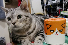 フテニャンと共に