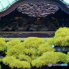 帝釈天の松と彫刻