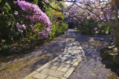 すごく晴れた朝の広寿寺