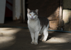 IMGP1157d